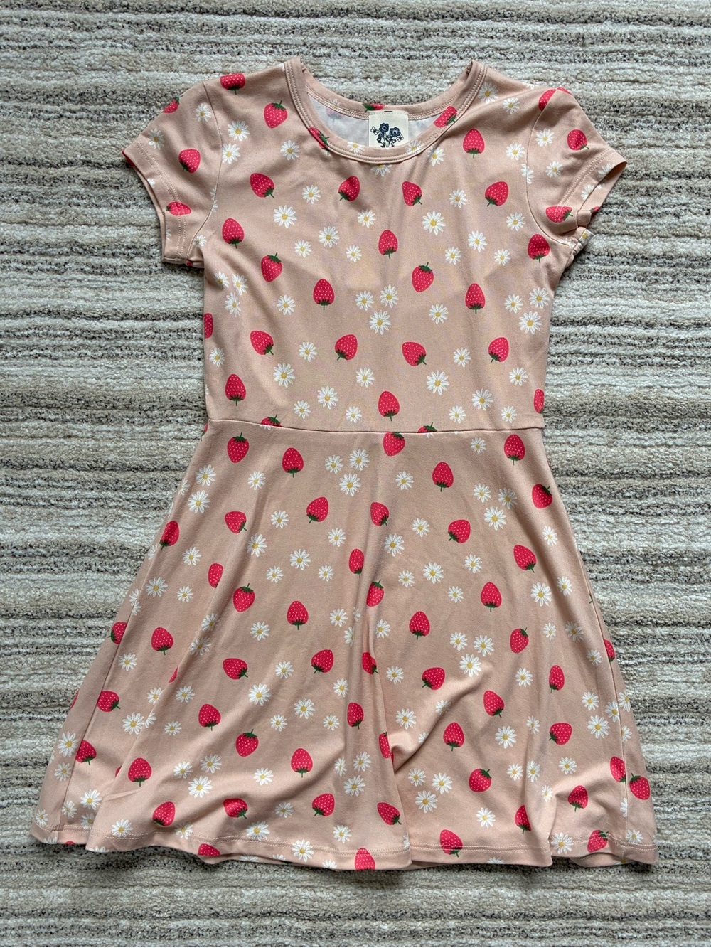 Lily Bleu Pink Strawberry & Daisy Skater Dress